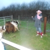 The Farmyard 2 image